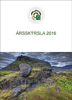 Forsíða ársskýrslu