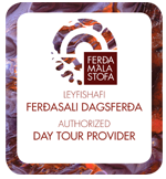 ferðasali dagsferða