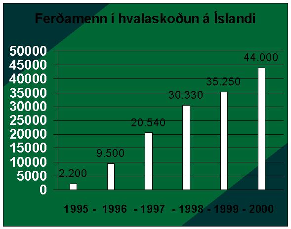 HvalaskodunIslandi