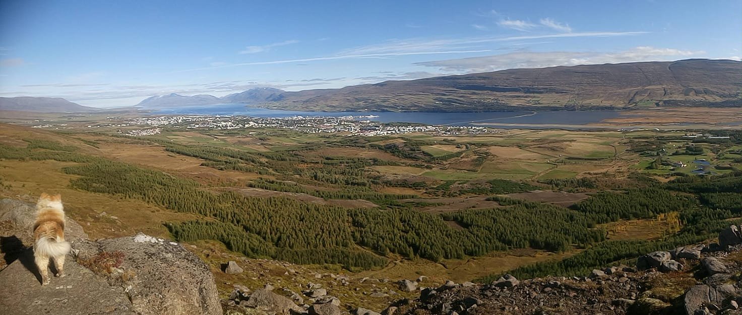 Mynd: Sér yfir Akureyri og út Eyjaförð.