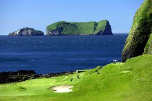 Golg vestmananeyjar