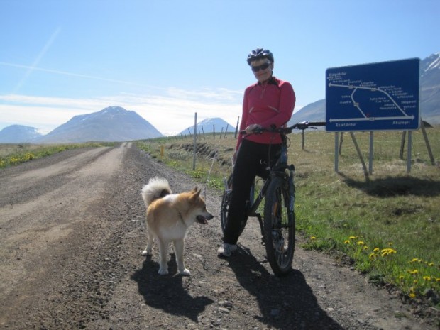 Hjólaferðamennska fer vaxandi á Íslandi.