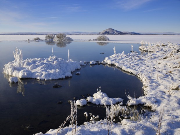 Við Mývatn. ©arctic-images.com