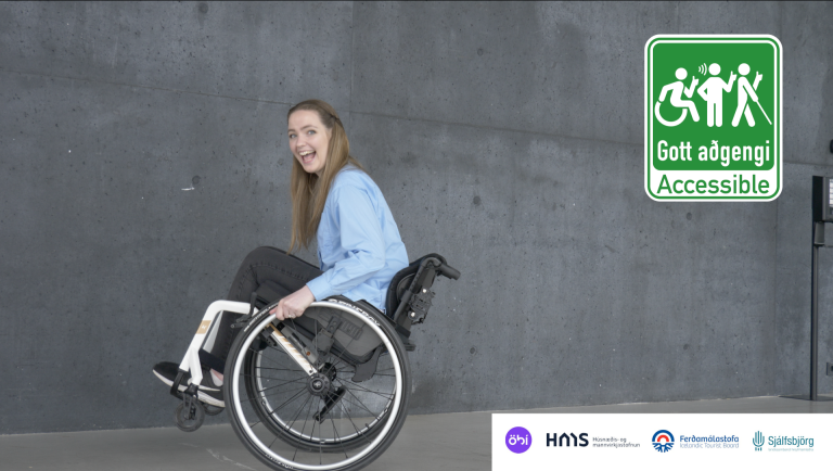 Accessibility in Icelandic Tourism – A Teams Presentation for Icelandic tourism comapanies Desember …