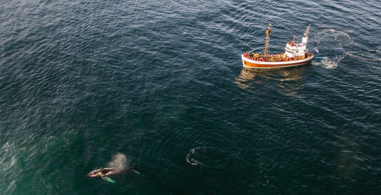 Mynd: Hvalaskoðun frá Húsavík / Íslandsstofa-visiticeland.com
