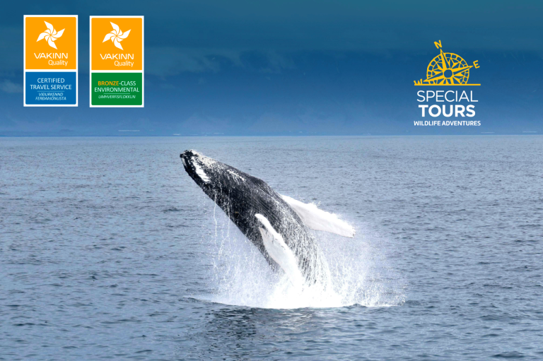 Vakinn quality and environmental certification: Special Tours recertified