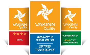 The Vakinn logos