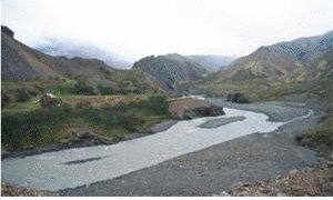 MulaskaliiNesi