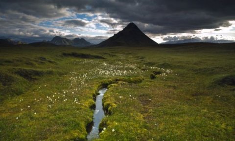 © arctic-images.com