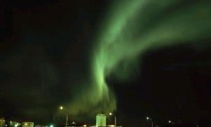 Áframhaldandi aukning í desember