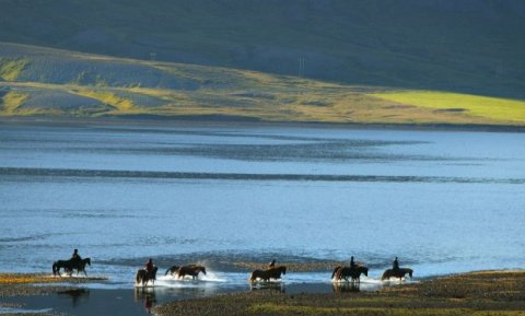 © arctic-images.com