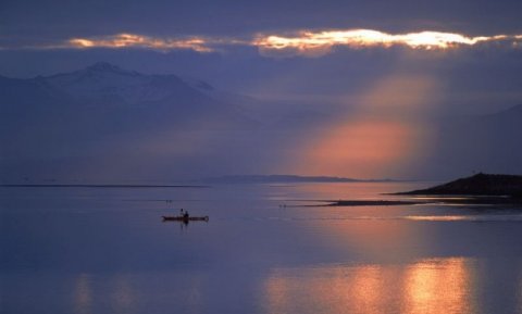 ©arctic-images.com