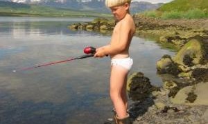 Könnun um viðhorf farþega í hvalaskoðunarferðum