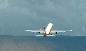 Flugfarþegar