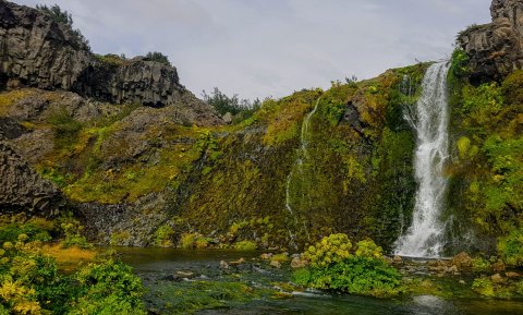 Mynd: Arnar Dansson