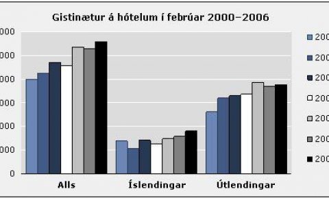 Gistinætur feb 06