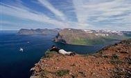 Hornstrandir