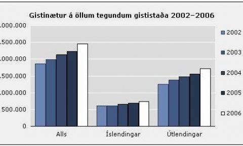 Gistiskýrslur 2006