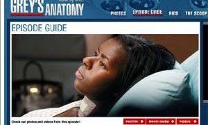 Greys anatomi
