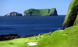 Golg vestmananeyjar