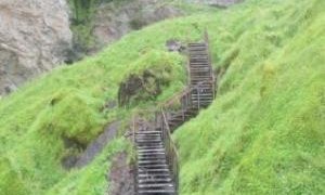 Seljalandsfoss