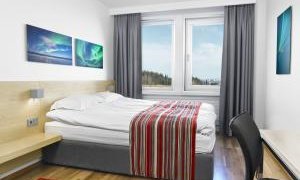 Gistináttskattur