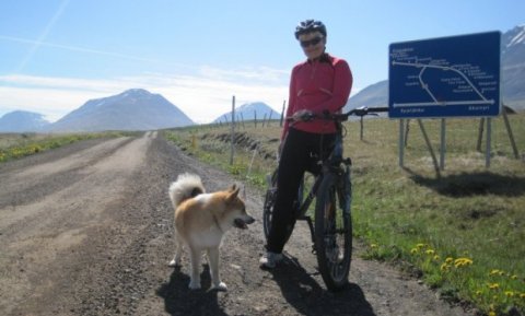 Hjólaferðamennska fer vaxandi á Íslandi.