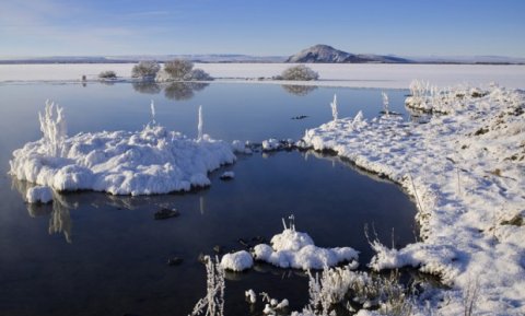 Við Mývatn. ©arctic-images.com