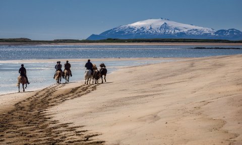 Mynd: ©Ragnar Th. Sigurðsson.