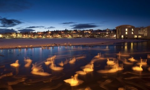 Reykjavíkurtjörn. Mynd: arctic-images.com